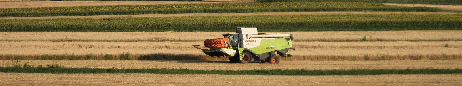 Harvest at ACS Landwirtschafts AG in Romania